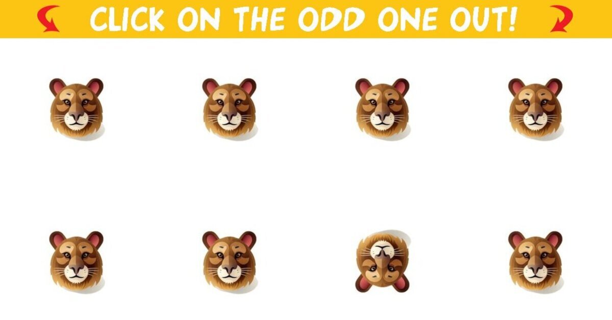 Odd One Out Quest: Seek The Unusual