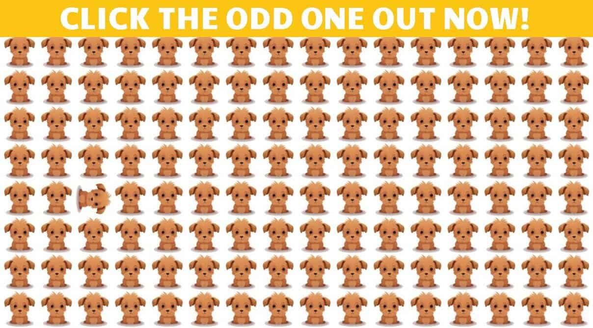 Mind-boggling Odd One Out Puzzles: Are You Up For It?