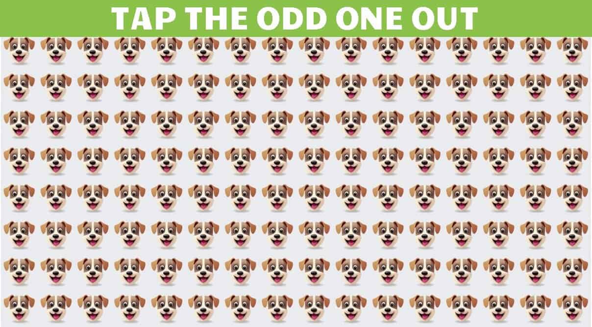 10 Odd One Out Quizzes For The Logic Enthusiasts QuizPost