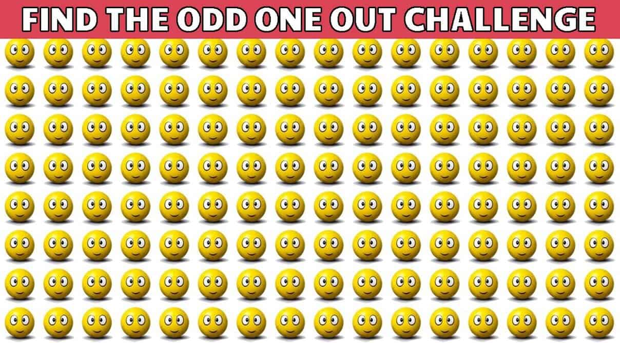 Odd One Out Odyssey: Seek The Anomalies