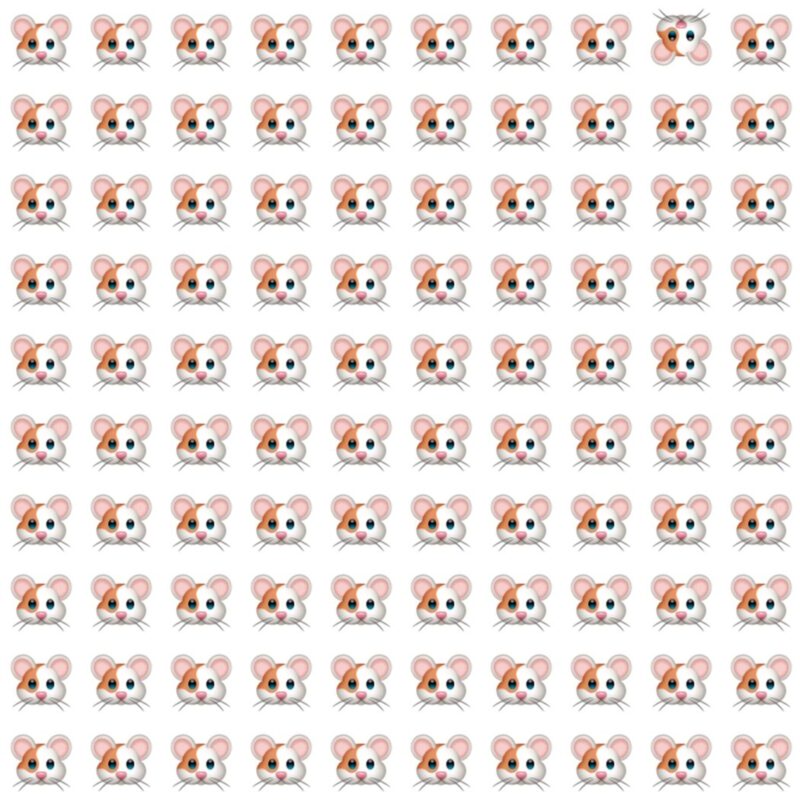 Fun Picture Quiz image