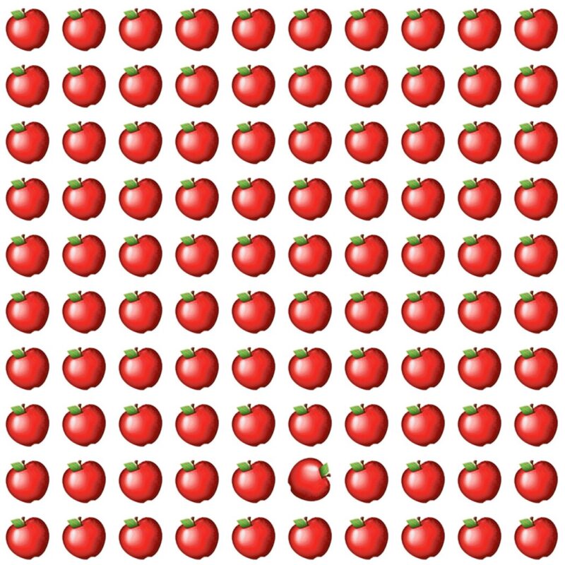 Fun Picture Quiz image