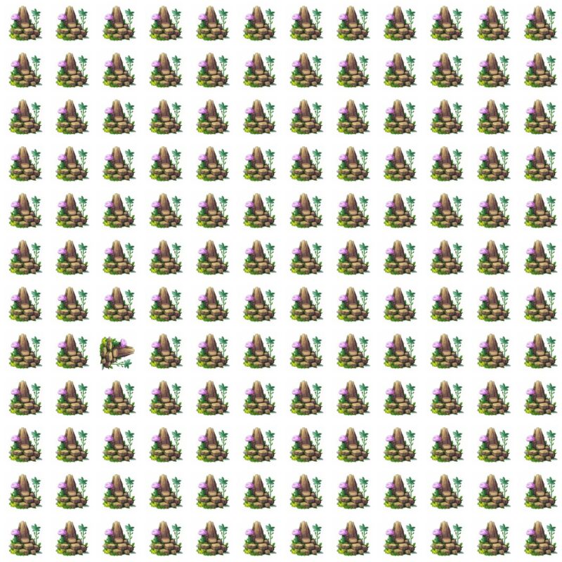 Fun Picture Quiz image