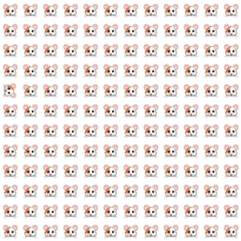 Fun Picture Quiz image