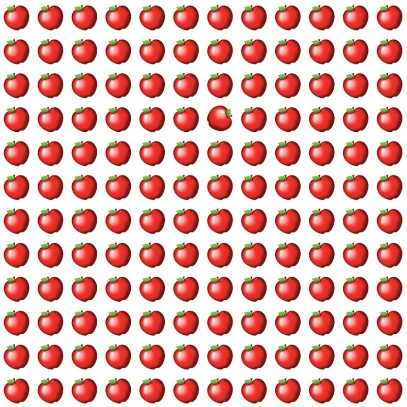 Fun Picture Quiz image