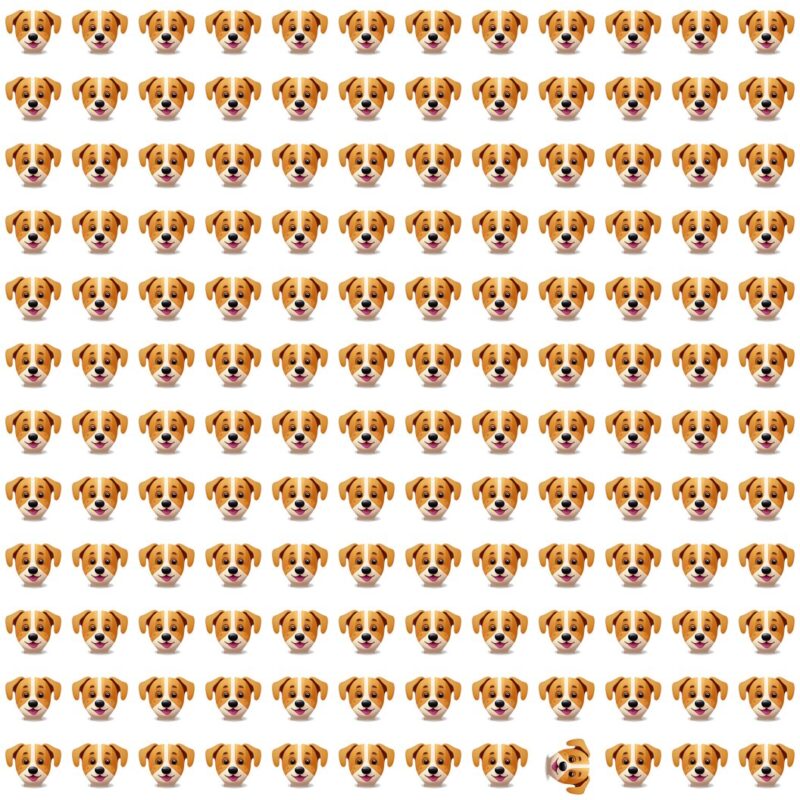 Fun Picture Quiz Puzzle image Fun Picture Quiz image