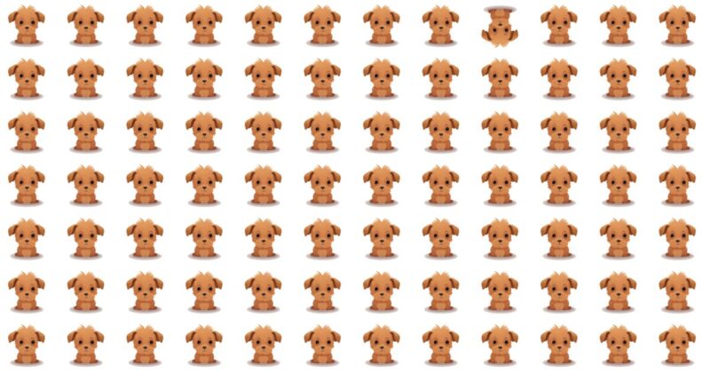 10 Odd One Out Challenges: A Visual Showdown