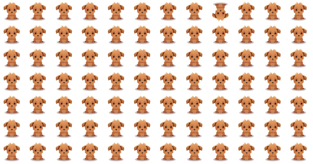 10 Odd One Out Challenges: A Visual Showdown