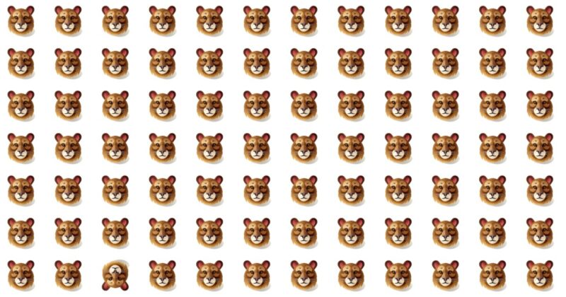 See If You Can Spot The Odd Man Out