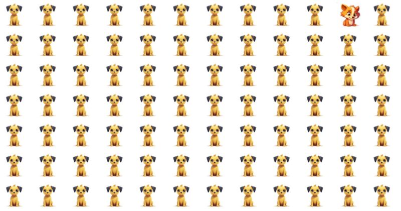 10 Odd One Out Quizzes For The Thoughtful Explorers