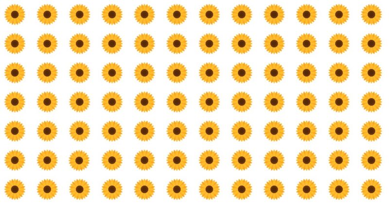 Can You Spot The Odd One Out In This Fellow Puzzle?