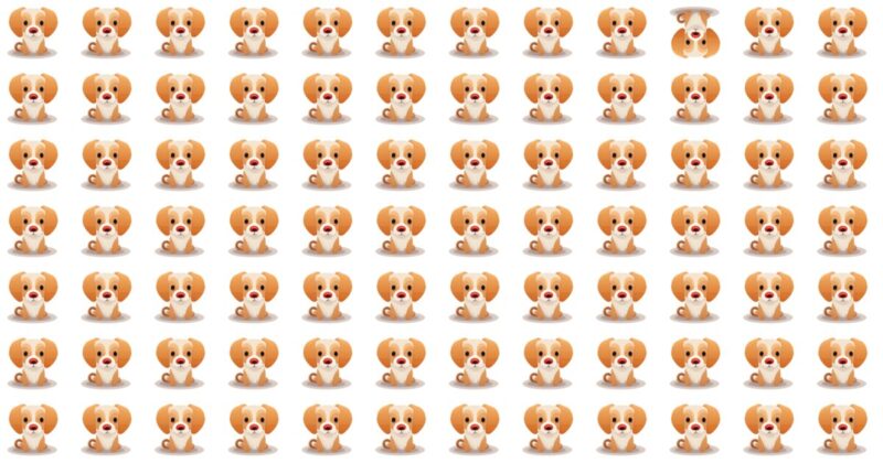 10 Odd One Out Brain Teasers For The Keen-eyed