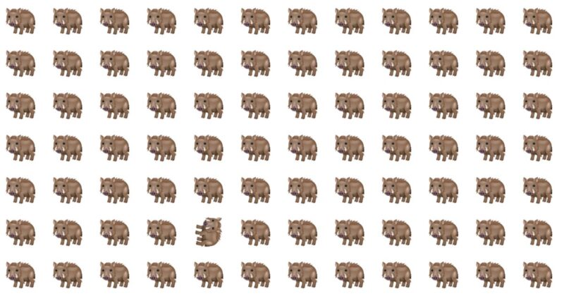 This Emoji Test Stumps 95% of People – Will You Succeed?
