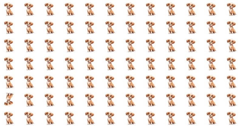 10 Odd One Out Quizzes For Mystery Aficionados