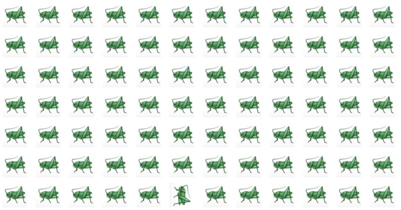 Odd Fellow Puzzle – Can You Outsmart The Quiz?