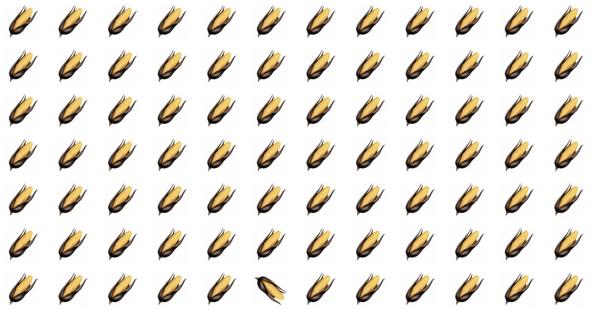 Dare To Differ: 10 Odd One Out Conundrums