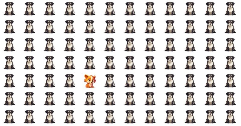 Can You Find It? 10 Odd One Out Challenges
