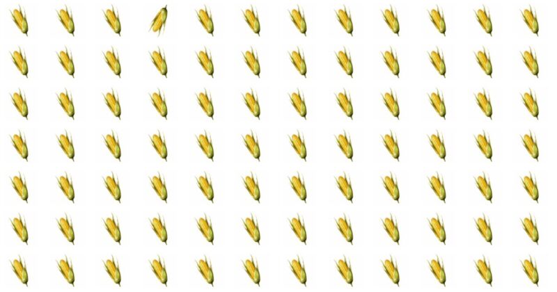 The Odd One Out Quest: Spot The Anomaly