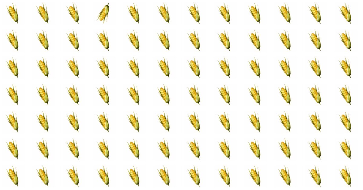 The Odd One Out Quest: Spot The Anomaly