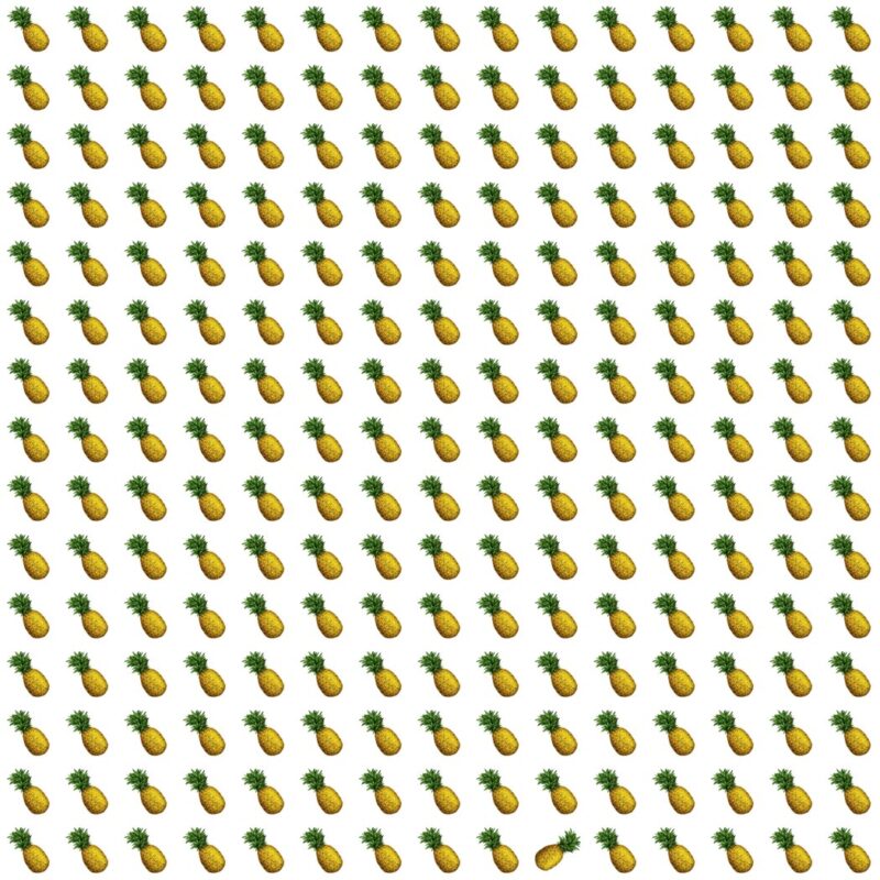 Fun Picture Quiz image