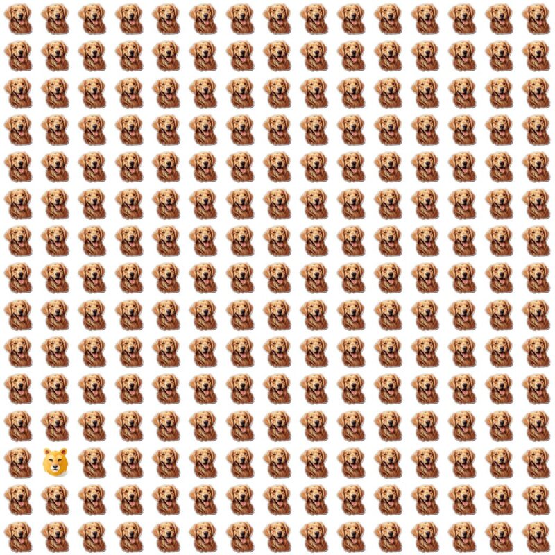 Fun Picture Quiz Puzzle image Fun Picture Quiz image