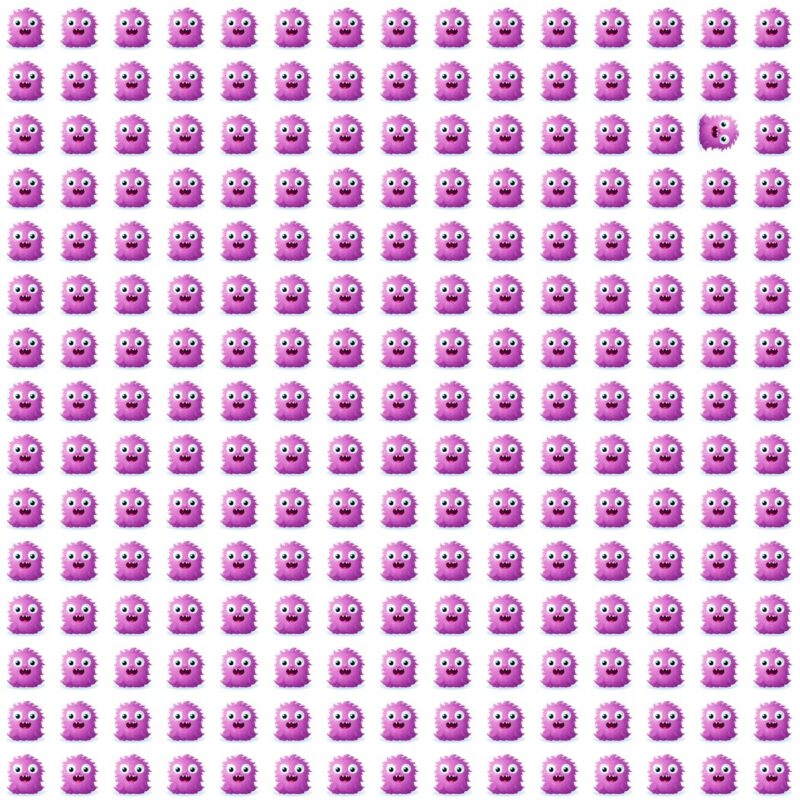 Fun Picture Quiz image