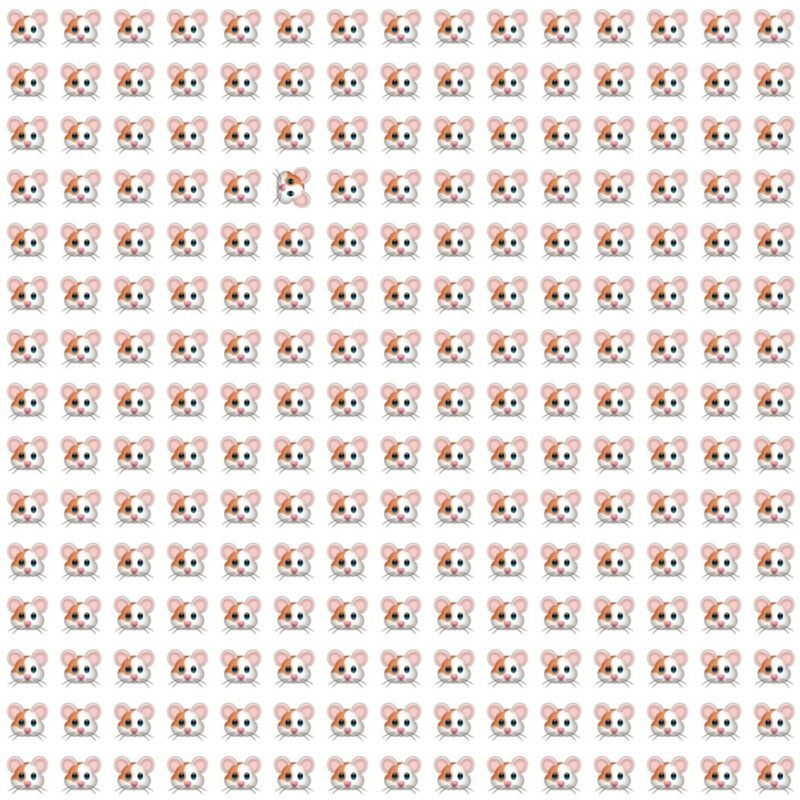 Fun Picture Quiz image