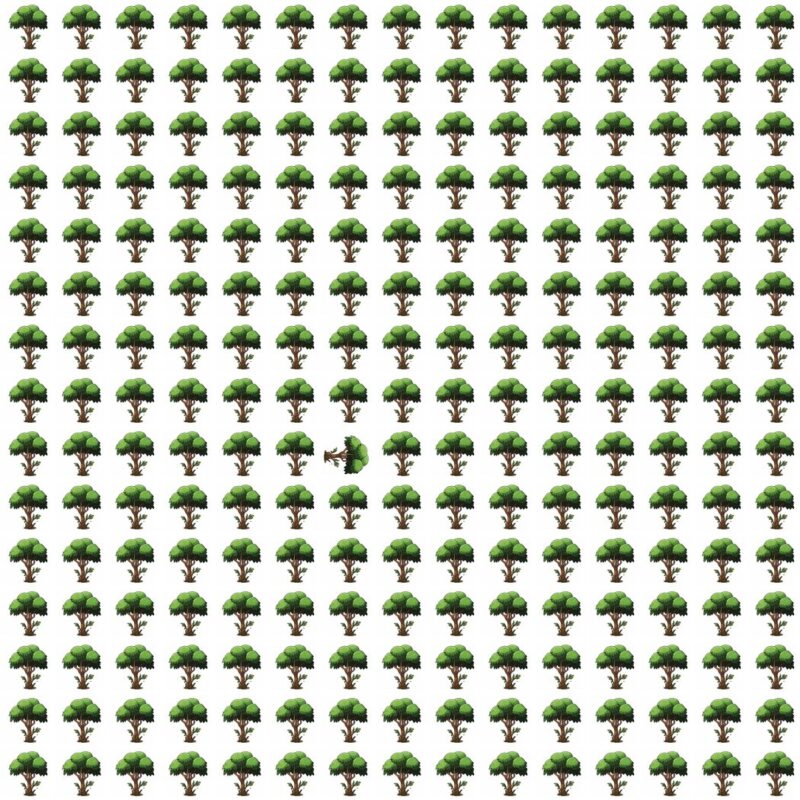 Fun Picture Quiz image