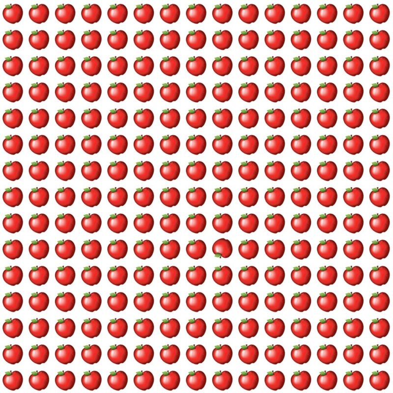 Fun Picture Quiz image