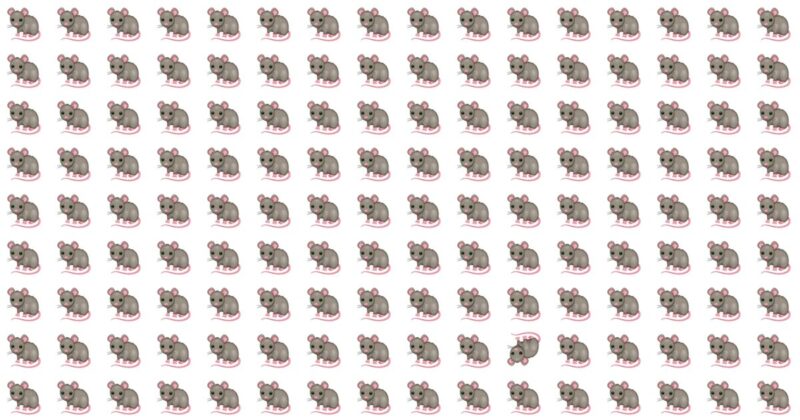 You’re A Genius If You Pass This Tough Odd One Out Challenge