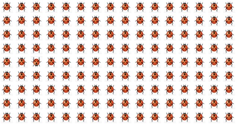 Literally Zero People Can Score A Perfect 10 On Tough Odd One Out Test Without Cheating