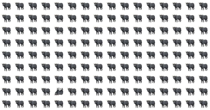 Spot The Odd Character Quiz – Do You Have What It Takes?