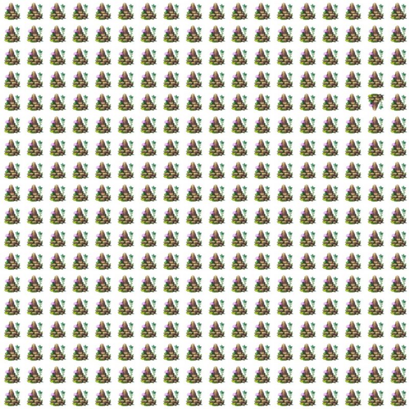 Fun Picture Quiz image