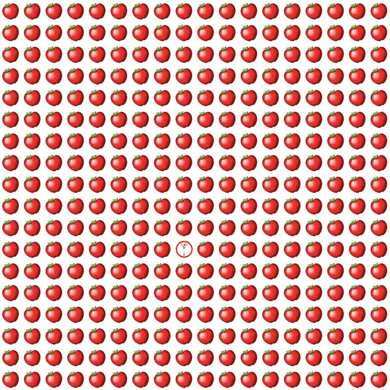 Fun Picture Quiz solution