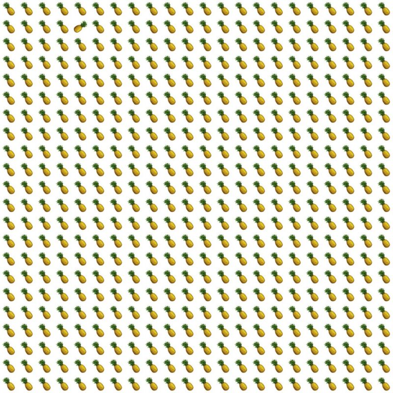 Fun Picture Quiz image