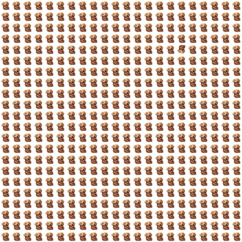 Fun Picture Quiz Puzzle image Fun Picture Quiz image