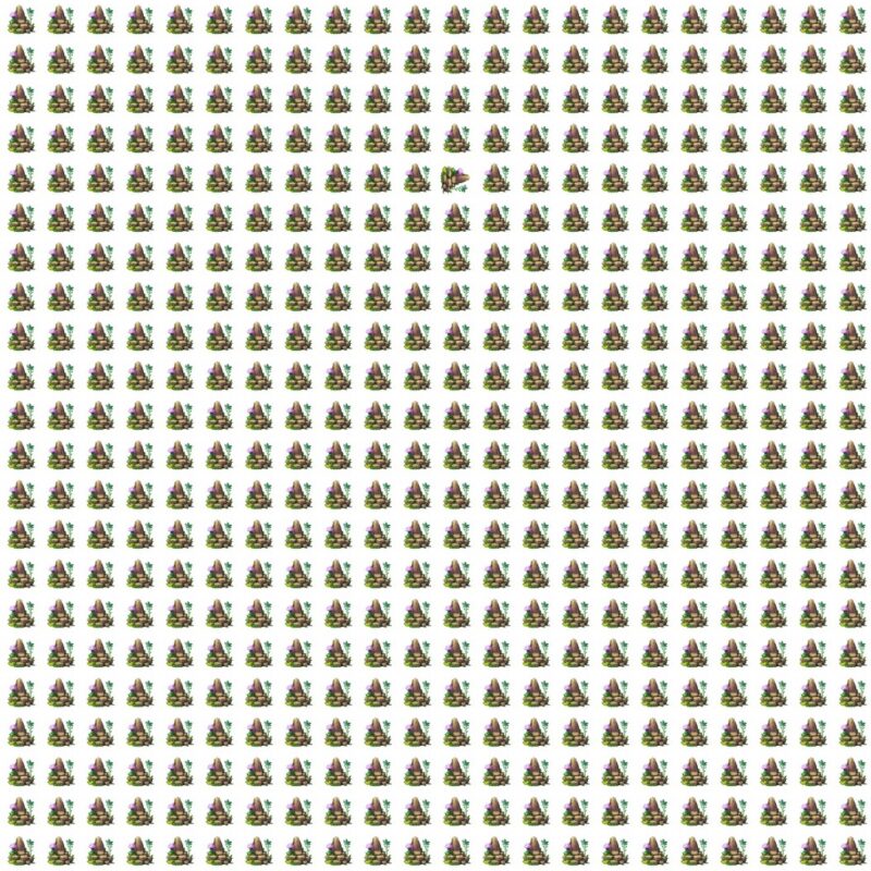 Fun Picture Quiz image