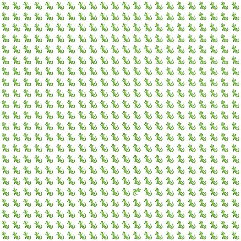 Fun Picture Quiz image