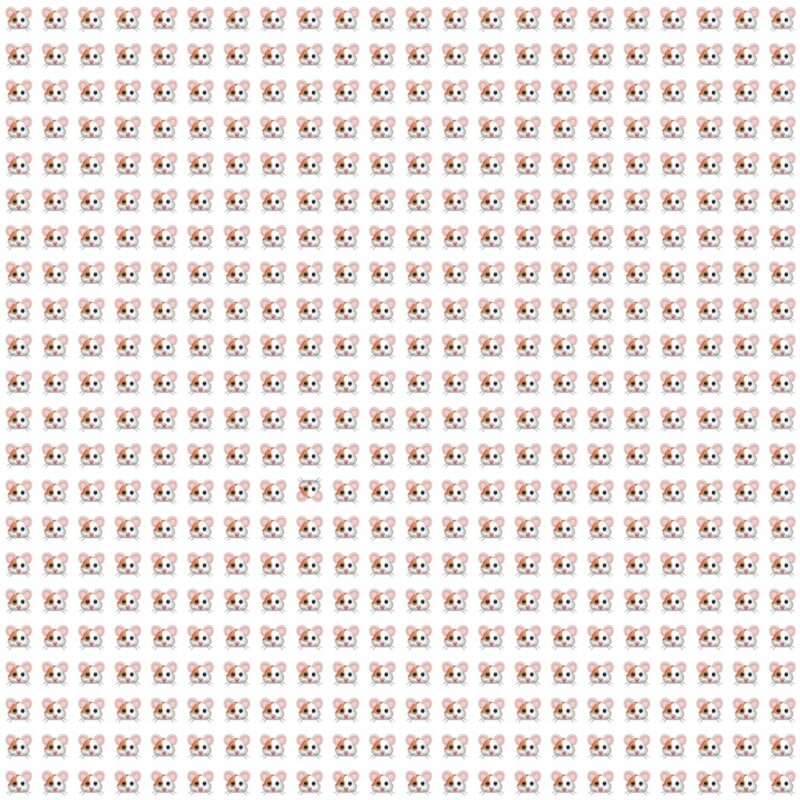 Fun Picture Quiz image