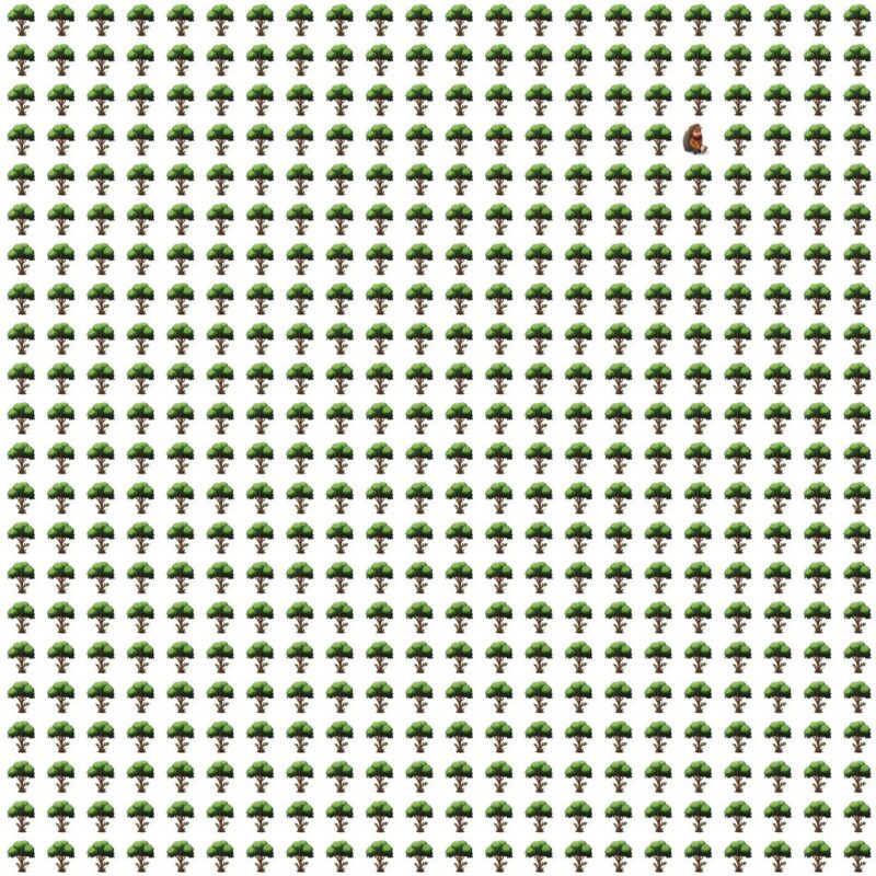 Fun Picture Quiz image