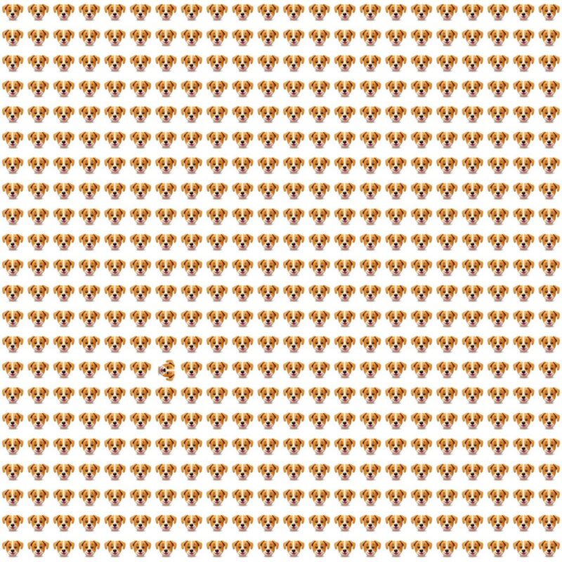 Fun Picture Quiz Puzzle image Fun Picture Quiz image