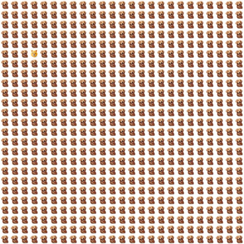 Fun Picture Quiz Puzzle image Fun Picture Quiz image