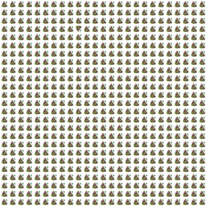 Fun Picture Quiz image