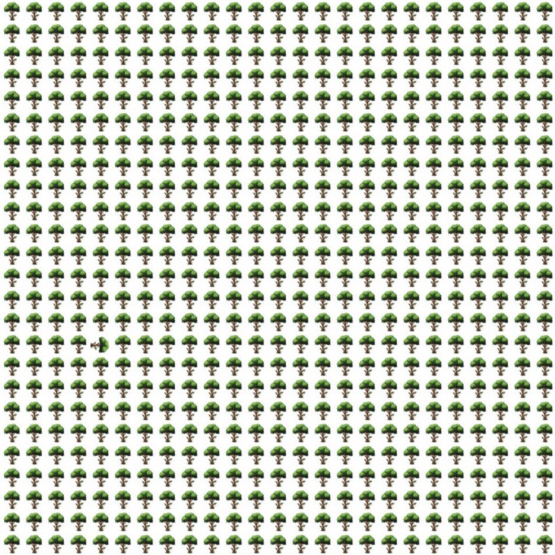 Fun Picture Quiz image