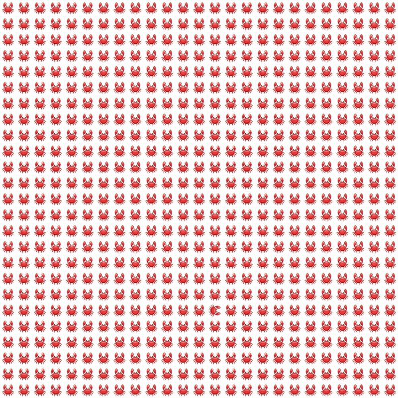 Fun Picture Quiz image