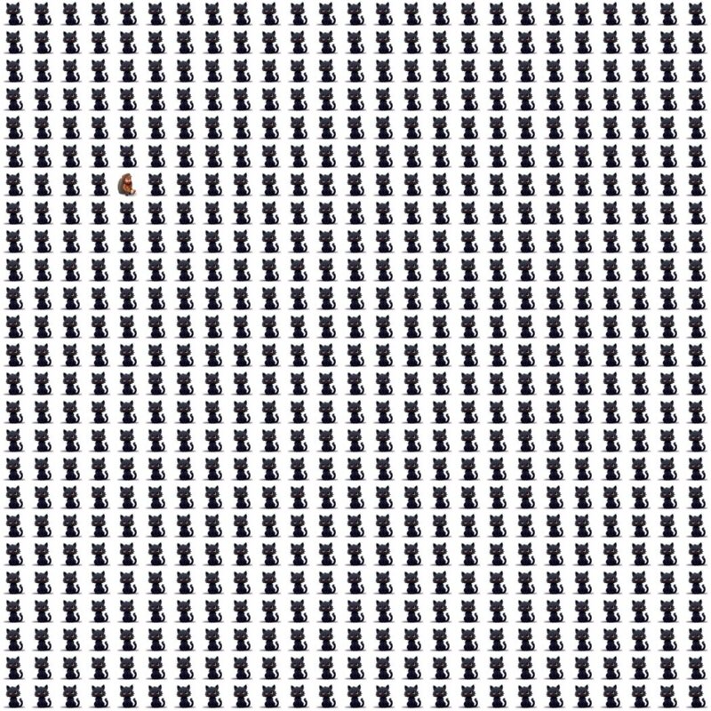 Fun Picture Quiz Puzzle image Fun Picture Quiz image