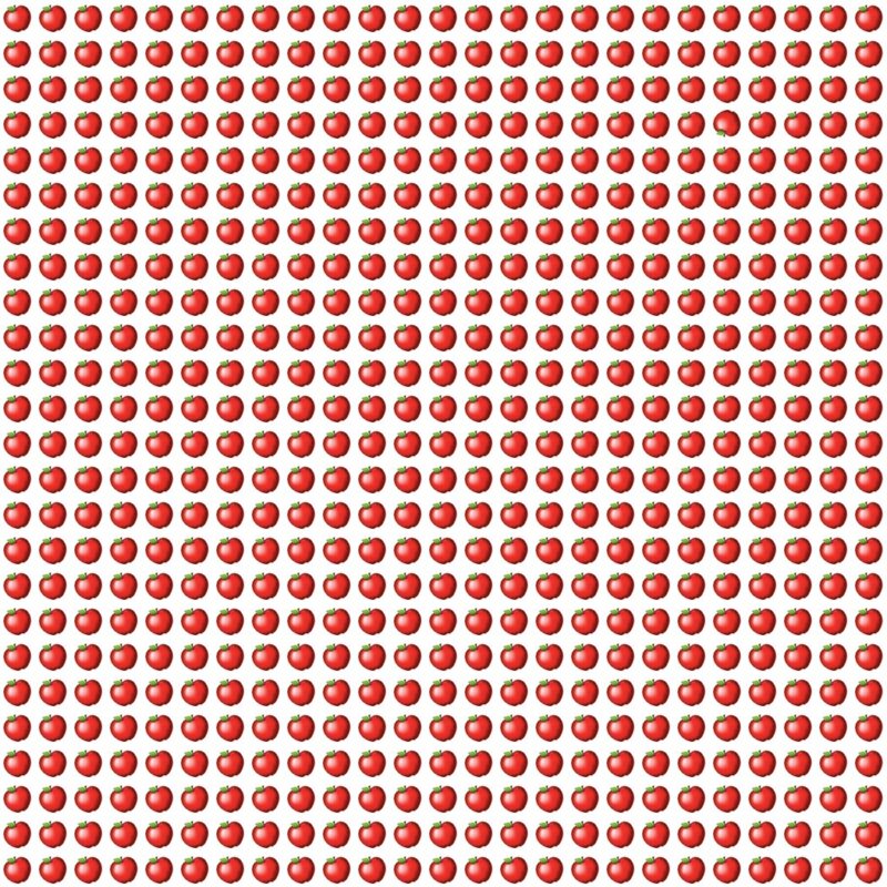 Fun Picture Quiz image