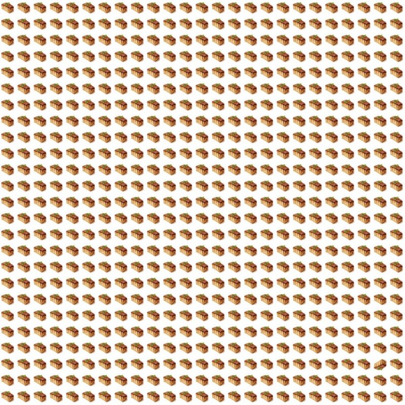 Fun Picture Quiz image