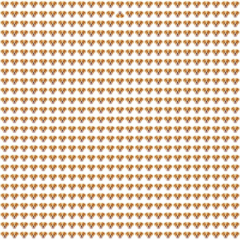 Fun Picture Quiz Puzzle image Fun Picture Quiz image