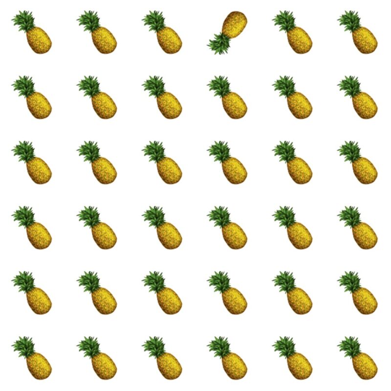 Fun Picture Quiz image